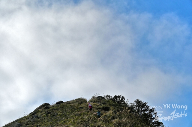 Z62_0594A