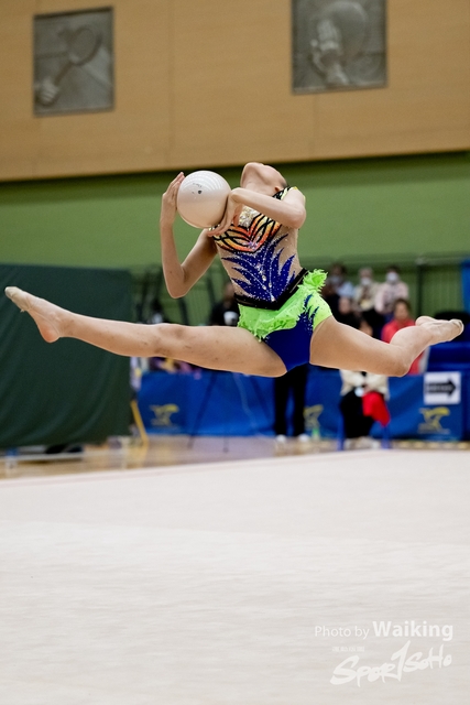 2023-11-19 RG - Ball-0287