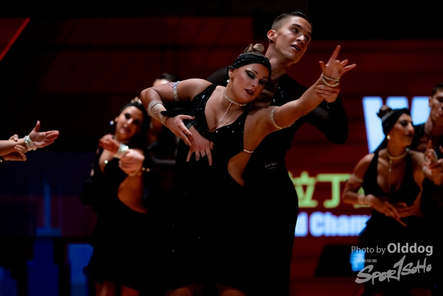 231218WDSF-283
