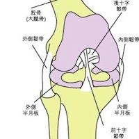 運動=勞損？