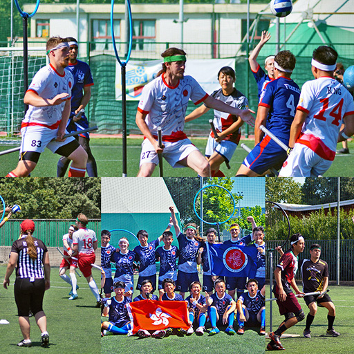 魁地奇Quidditch