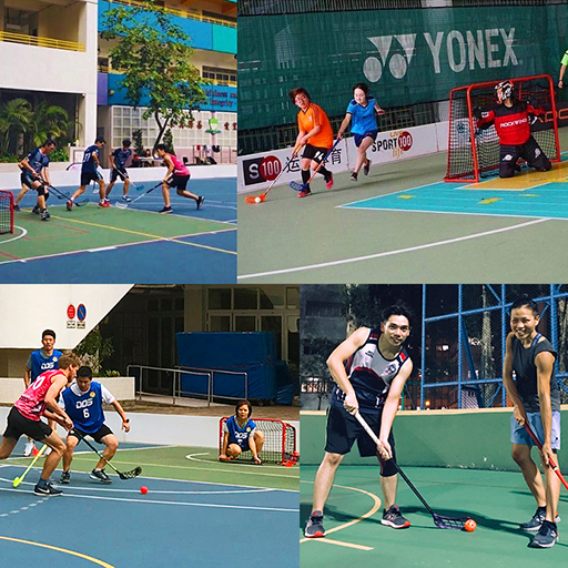 旱地冰球 Floorball