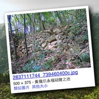 點穴尋龍